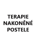 Terapie nakoněné postele